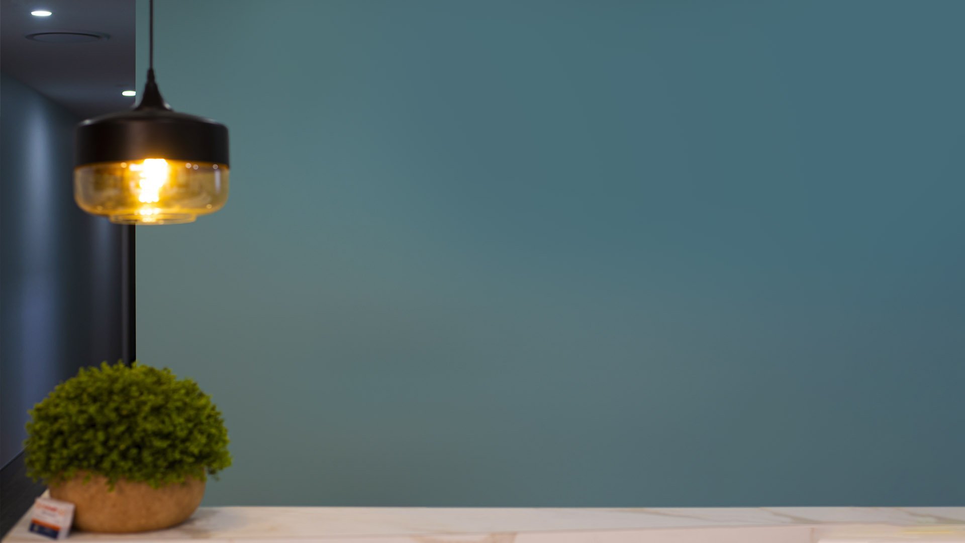 Modern minimalist interior with a spherical green plant in terracotta pot beneath a glowing pendant lamp against a teal wall